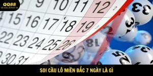 soi-cau-lo-mien-bac-theo-chu-ky-7-ngay-la-gi-avatar